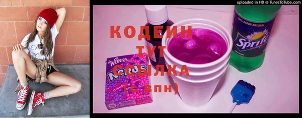 мдпв Осташков